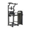 دستگاه بارفیکس و پارالل کمکی DHZ سری Evost Light مدل U3009D